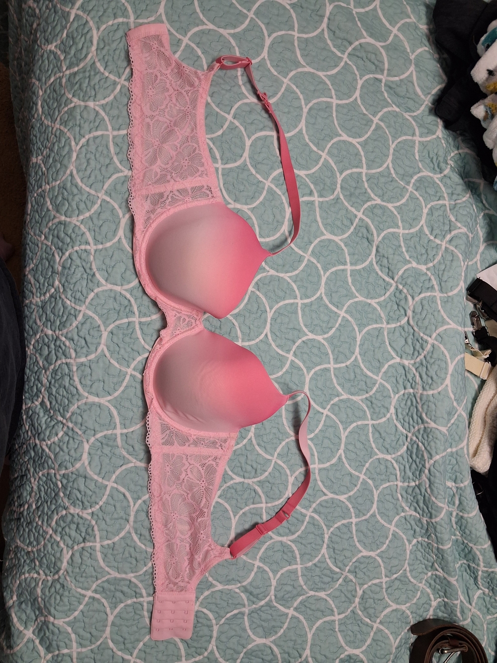 No Boundaries Pink Lace Push-Up Bra with Ombre Cups